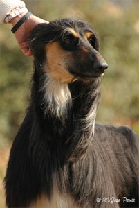 Sara, foto by Way up